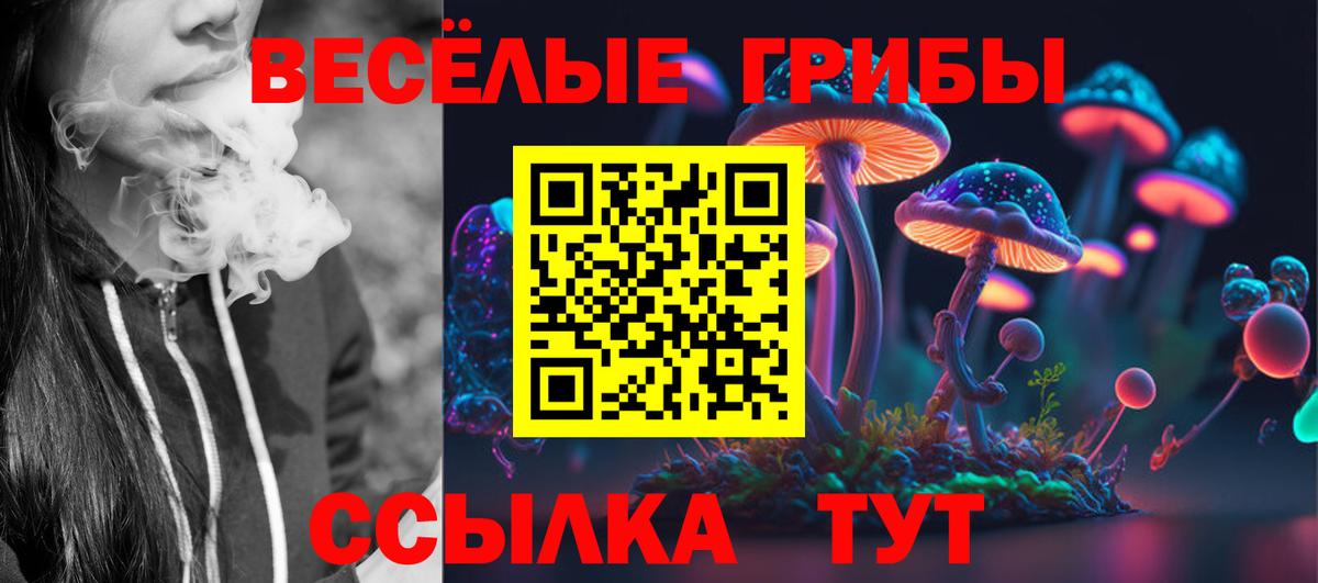 Чита  Галлюциногенные грибы ЛСД  Галлюциногенные грибы прущие грибы  Вход с VPN 