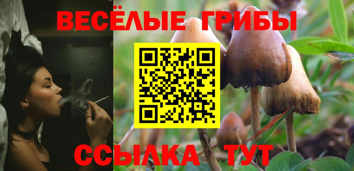 Галлюциногенные грибы прущие грибы Чита